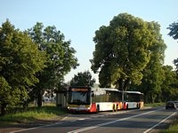 MAN Lion'sCity LL NL313-15 #617