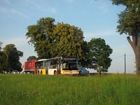 MAN Lion'sCity LL NL313-15 #617