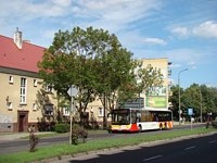 MAN Lion'sCity LL NL313-15 #617