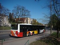 MAN Lion'sCity LL NL313-15 #617