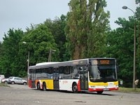 MAN Lion'sCity LL NL313-15 #617