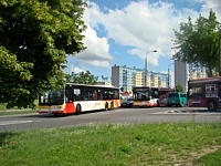 MAN Lion'sCity LL NL313-15 #617