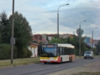 MAN Lion'sCity LL NL313-15 #617