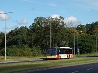 MAN Lion'sCity LL NL313-15 #617