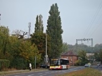 MAN Lion'sCity LL NL313-15 #617