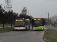 MAN Lion'sCity LL NL313-15 #617