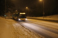 MAN Lion'sCity LL NL313-15 #617