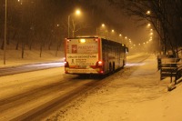 MAN Lion'sCity LL NL313-15 #617