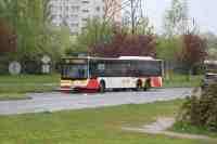 MAN Lion'sCity LL NL313-15 #617