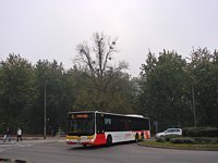 MAN Lion'sCity LL NL313-15 #618