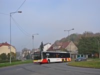 MAN Lion'sCity LL NL313-15 #618