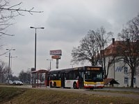 MAN Lion'sCity LL NL313-15 #618