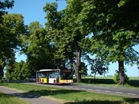 MAN Lion'sCity LL NL313-15 #618