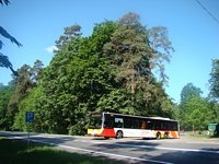 MAN Lion'sCity LL NL313-15 #618