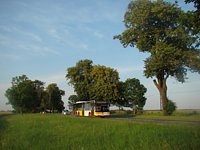 MAN Lion'sCity LL NL313-15 #618