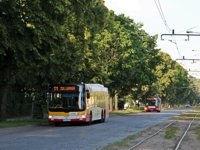 MAN Lion'sCity LL NL313-15 #618