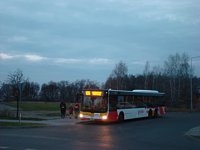 MAN Lion'sCity LL NL313-15 #618