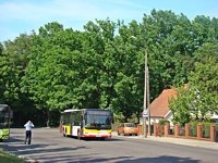 MAN Lion'sCity LL NL313-15 #618