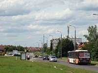 MAN Lion'sCity LL NL313-15 #618