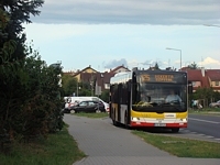 MAN Lion'sCity LL NL313-15 #618