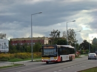 MAN Lion'sCity LL NL313-15 #618