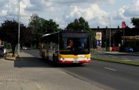 MAN Lion'sCity LL NL313-15 #618