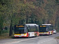 MAN Lion'sCity LL NL313-15