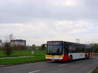 MAN Lion'sCity LL NL313-15