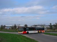 MAN Lion'sCity LL NL313-15