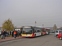 MAN Lion'sCity LL NL313-15