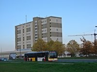 MAN Lion'sCity LL NL313-15