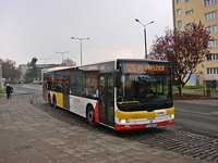 MAN Lion'sCity LL NL313-15