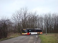 MAN Lion'sCity LL NL313-15