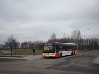 MAN Lion'sCity LL NL313-15