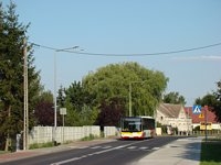 MAN Lion'sCity LL NL313-15