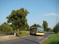 MAN Lion'sCity LL NL313-15