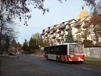 MAN Lion'sCity LL NL313-15