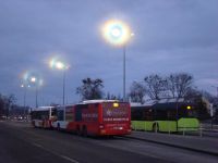 MAN Lion'sCity LL NL313-15