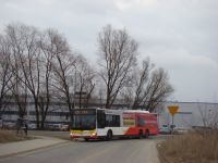 MAN Lion'sCity LL NL313-15