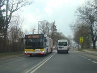 MAN Lion'sCity LL NL313-15