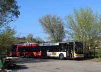 MAN Lion'sCity LL NL313-15