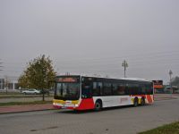 MAN Lion'sCity LL NL313-15 #620