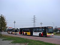 MAN Lion'sCity LL NL313-15 #620