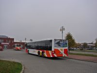 MAN Lion'sCity LL NL313-15 #620