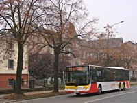 MAN Lion'sCity LL NL313-15 #620