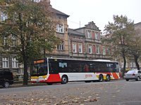 MAN Lion'sCity LL NL313-15 #620