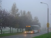 MAN Lion'sCity LL NL313-15 #620