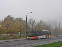 MAN Lion'sCity LL NL313-15 #620