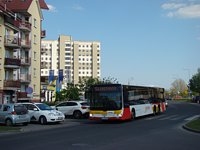 MAN Lion'sCity LL NL313-15 #620