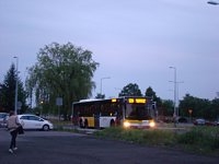 MAN Lion'sCity LL NL313-15 #620